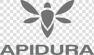 Apidura Darkgrey Rgb   Apidura Logo  HD Png Download