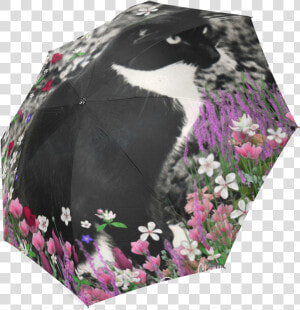 Freckles In Flowers Ii Black White Tuxedo Cat Foldable  HD Png Download