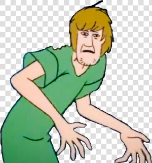 Shaggy Png  Transparent Png