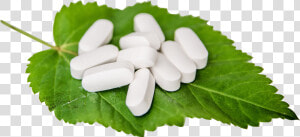 White Pills On A Leaf   Pills On Leaf  HD Png Download