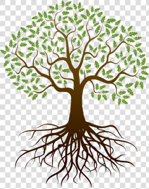 Transparent Tree Of Life With Roots Clipart   Tree With Roots Clipart Free  HD Png Download