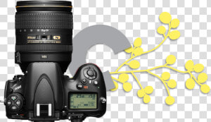 Nikon D800  HD Png Download