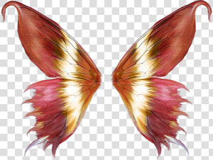 Butterfly Wings Png Clipart   Png Download   Butterfly Wings Vector Png  Transparent Png