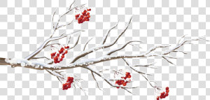 Clipart Tree Winter   Winter Tree Branch Clipart  HD Png Download