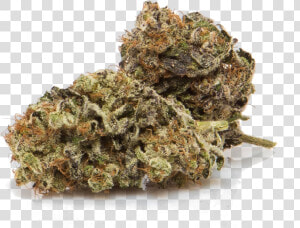 Cbd Strains For Sale  HD Png Download