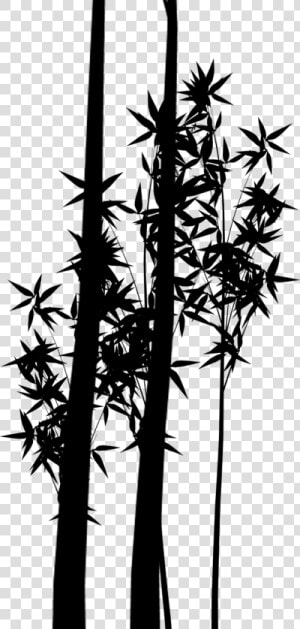 Silhouette Plant Stem Bamboo Branching Plants   Silueta De Plantas Png  Transparent Png