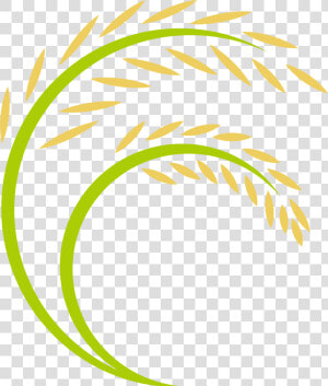 Transparent Rice Plant Png   Paddy Rice Logo Png  Png Download