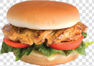 Chicken Sandwich Png   Transparent Chicken Burger Png  Png Download