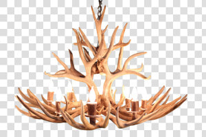 Deer Antlers Png   Png Download   Real Antler Lights Uk  Transparent Png