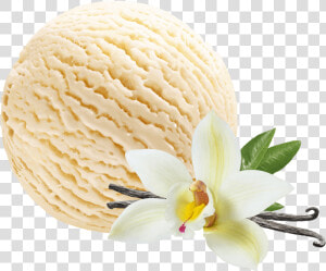 Vanilla Ice Cream   Vanilla Ice Cream Png  Transparent Png