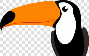 Tucano Voando Png   Penguin  Transparent Png