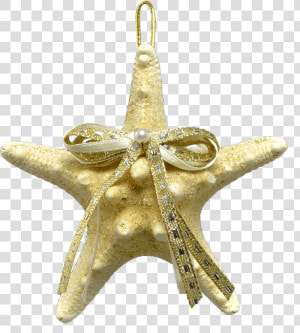 2 White Knobby Starfish Christmas Holidays Ornaments   Pendant  HD Png Download