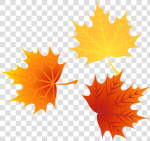 Autumn Euclidean Leaves Vector Leaf Png Image High   Cartoon Fall Leaves Png  Transparent Png