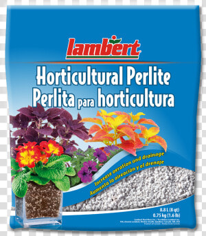 Perlite Horticulture  HD Png Download