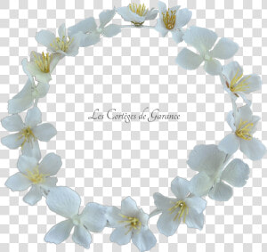 Couronne Blanche Hortensias Fleurs De Cerisiers   Artificial Flower  HD Png Download