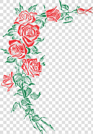 Rose Roses Floral Free Photo   Vektor Bunga Mawar Png  Transparent Png