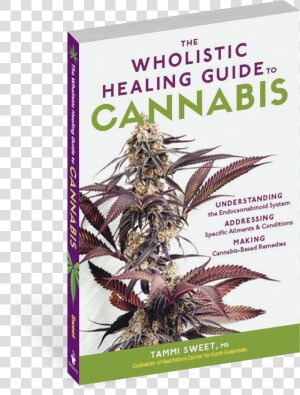 Cover   The Wholistic Healing Guide To Cannabis  Understanding  HD Png Download