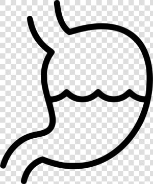 Line Art   Stomach  HD Png Download