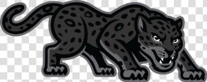 Texas A amp m San Antonio Jaguars  HD Png Download