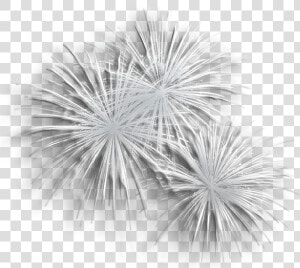 Transparent Silver Fireworks Png Clipart   Transparent Background White Fireworks Png  Png Download