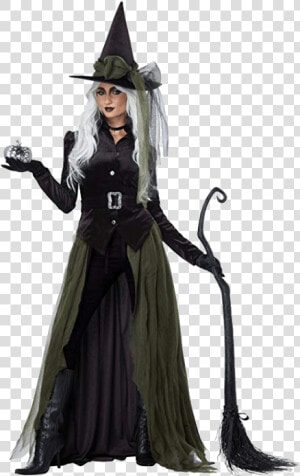 Adult Witch Black Halloween Costumes   Halloween Costumes For Women Witch  HD Png Download