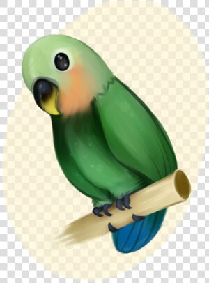 Birb Drawing Love Bird Huge Freebie Download For Powerpoint   Green Peach Faced Lovebird Vector  HD Png Download