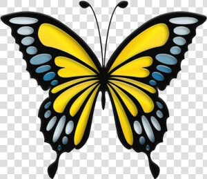 Yellow Butterfly Png   Blue Butterfly Clip Art  Transparent Png