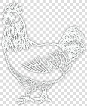 Rooster   Png Download   Rooster  Transparent Png