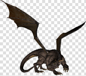 Dragon Vector Realistic   Png Download   Dragon Png High Resolution  Transparent Png