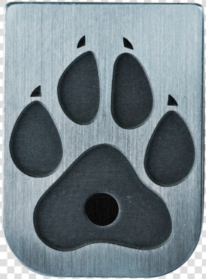 Dog Paw Stainless Steel Finish Mag Plate   Paw  HD Png Download