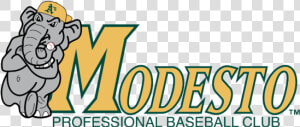 Modesto Nuts  HD Png Download