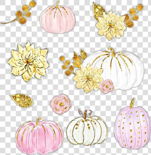  watercolor  pumpkins  pumpkin  flowers  leaves  gold   Pumpkin  HD Png Download