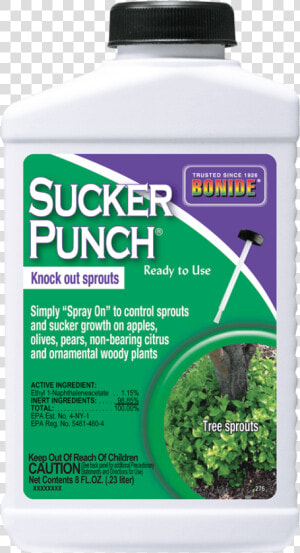 Transparent Sucker Png   Bonide Sucker Punch  Png Download