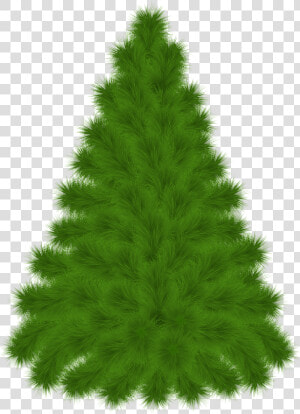 Pine Tree Clipart Png Transparent Png   Png Download   Pine Tree Clipart With A Transparent Background  Png Download