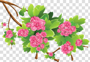 Spring Season Clipart Png   Clip Art Transparent Spring Flowers  Png Download