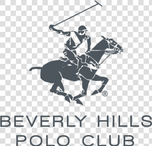 Beverly Hills Polo Club Logo Vector   Png Download   Beverly Hills Polo Club Logo  Transparent Png