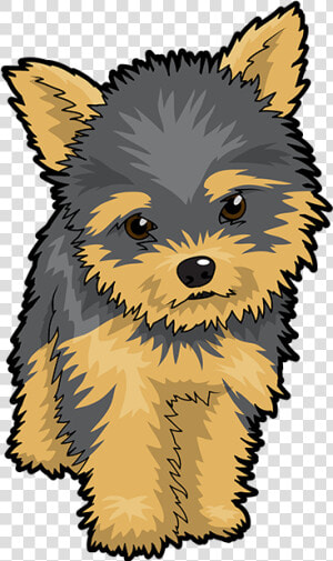 Puppy Clipart Yorkie   Yorkshire Terrier Cartoon Png  Transparent Png