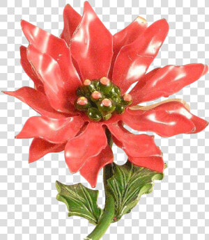 Christmas Poinsettia Flower Pin Vintage 1960s Enameled   Poinsettia  HD Png Download