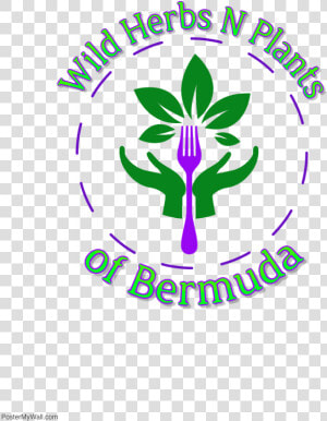 Wild Herbs N Plants Of Bermuda Logo   Graphic Design  HD Png Download