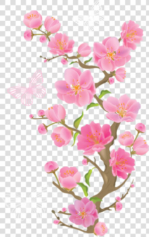 Flower Clipart  Cute Clipart  Spring Branch  Cherry   Korean Cherry Blossoms Png  Transparent Png