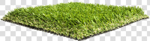 Artificial Grass Liquidators Turf Agl Pro69   Lawn  HD Png Download