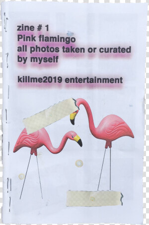 Image Of Pink Flamingo Zine  HD Png Download