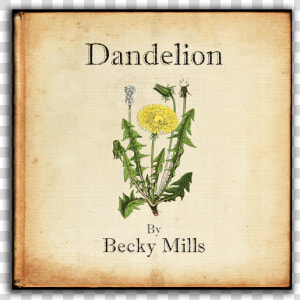 Becky Mills Dandelion  HD Png Download