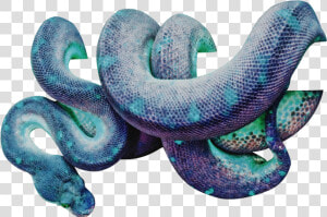 Snake Wrapped Around Png  Transparent Png