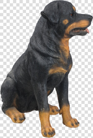 Transparent Rottweiler Png   Companion Dog  Png Download