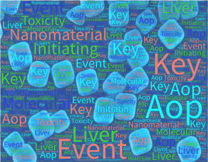 Understanding Nanomaterial Toxicity By Leveraging Mechanistic   Poster  HD Png Download