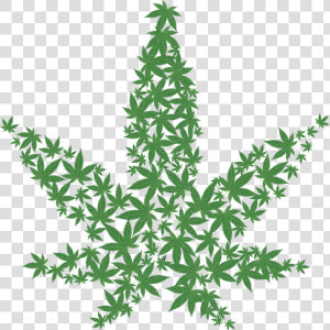 Marihuana  Drogas  Prohibido  Cáñamo  Ilegal   Weed Print  HD Png Download