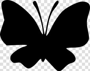 Butterfly Silhouette Cliparts   Butterfly Silhouette Images Png  Transparent Png