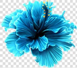 Blue Tropical Flowers Png   Png Download   Blue Tropical Flower Clipart  Transparent Png