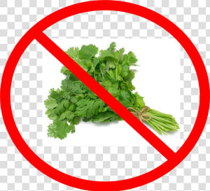 Say No To Cilantro   Coriander Leaves  HD Png Download